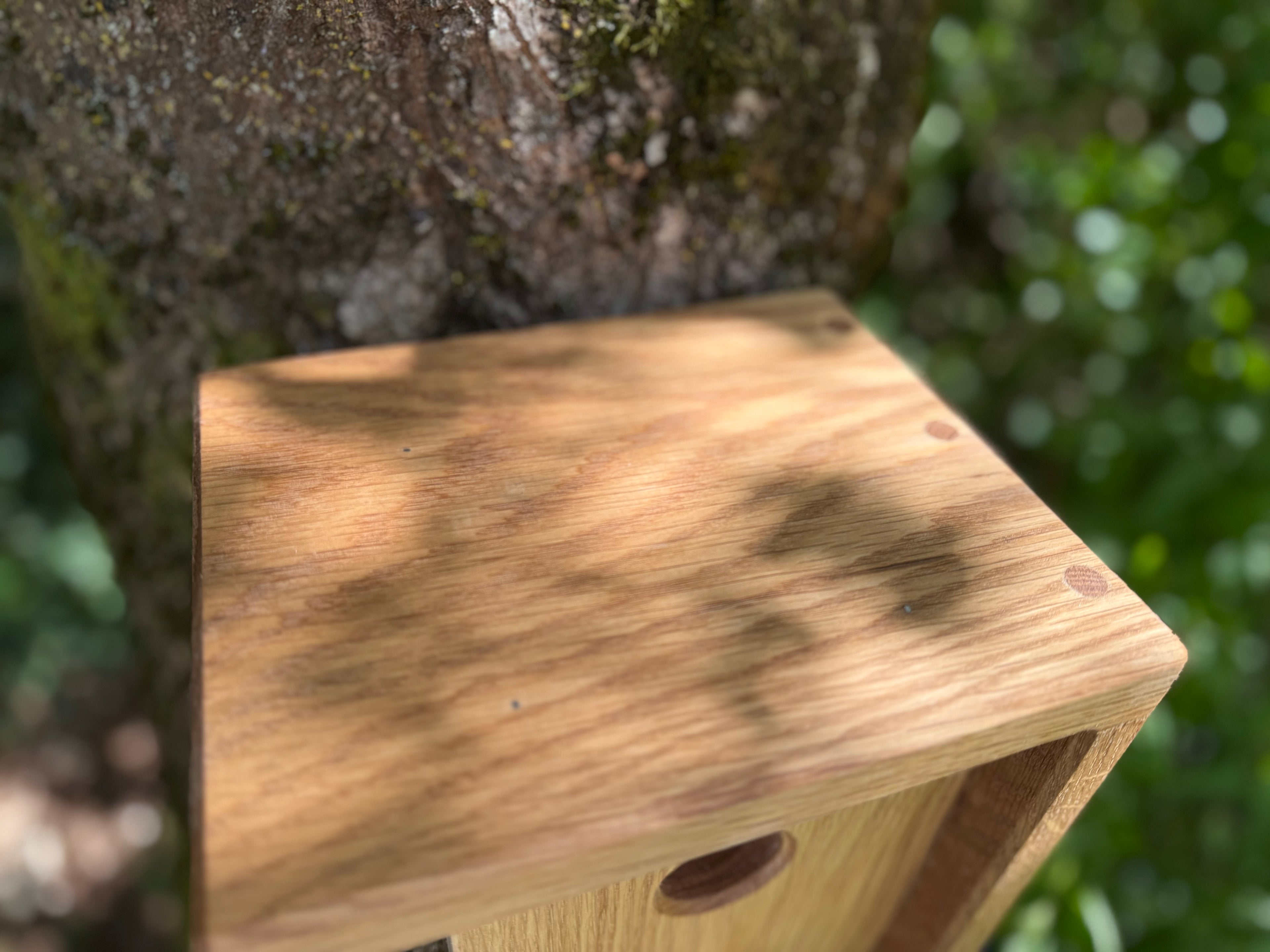 Handmade Solid Oak & Sapele Bird House: Solid Wood Nest Box, Garden Gift - Personalisable