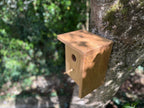 Handmade Solid Oak & Sapele Bird House: Solid Wood Nest Box, Garden Gift - Personalisable