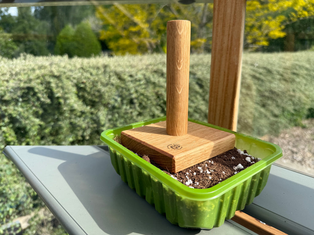 Handmade Solid Oak Seed Tamper: Natural Wood Garden Gift - 100x100mm