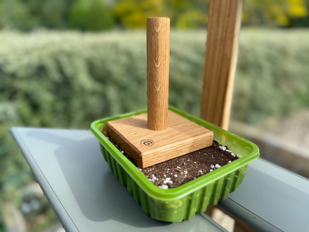 Handmade Solid Oak Seed Tamper: Natural Wood Garden Gift - 100x100mm