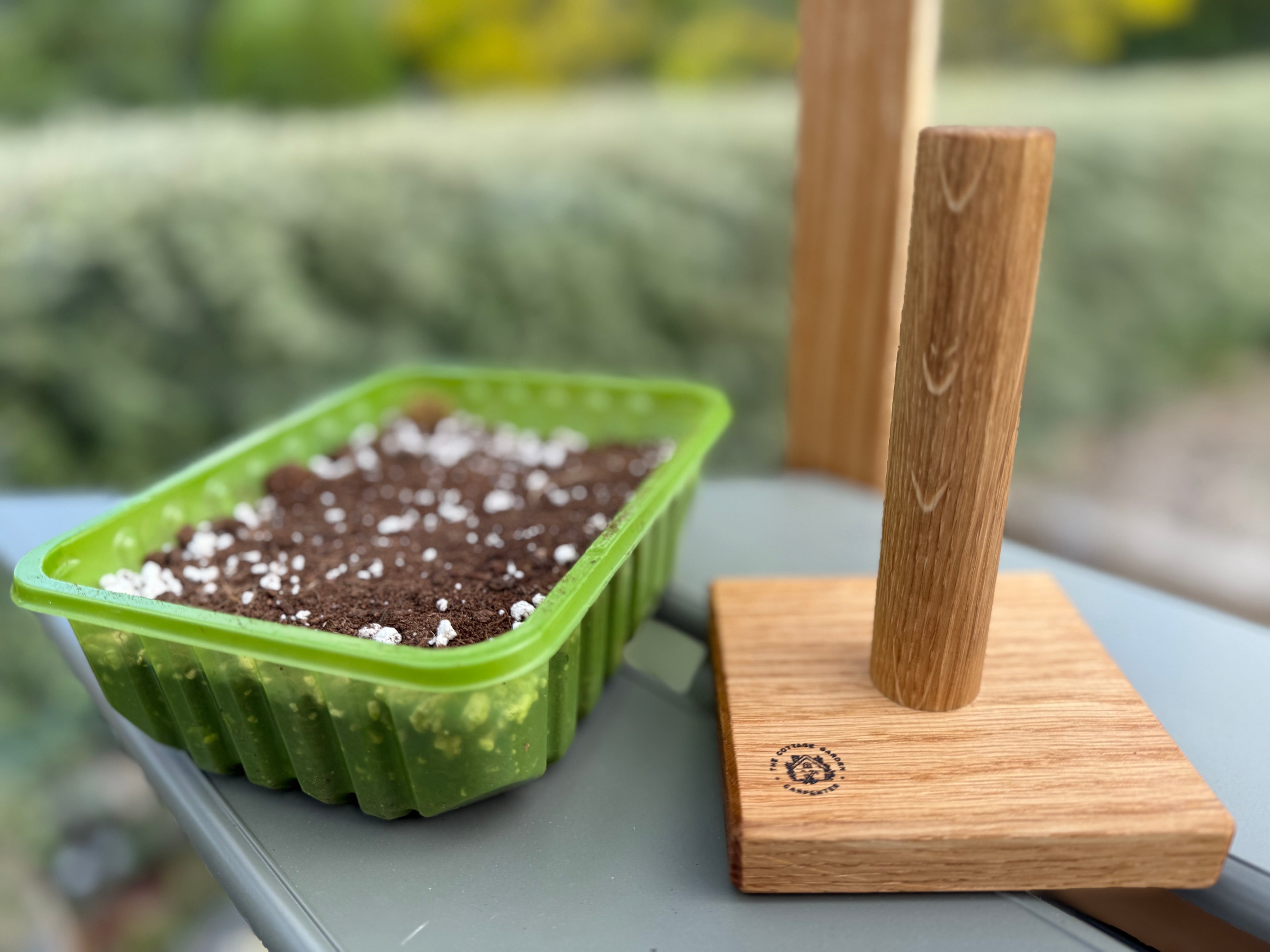 Handmade Solid Oak Seed Tamper: Natural Wood Garden Gift - 100x100mm