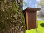 Handmade Solid Oak & Sapele Bird House: Solid Wood Nest Box, Garden Gift - Personalisable
