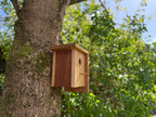 Handmade Solid Oak & Sapele Bird House: Solid Wood Nest Box, Garden Gift - Personalisable