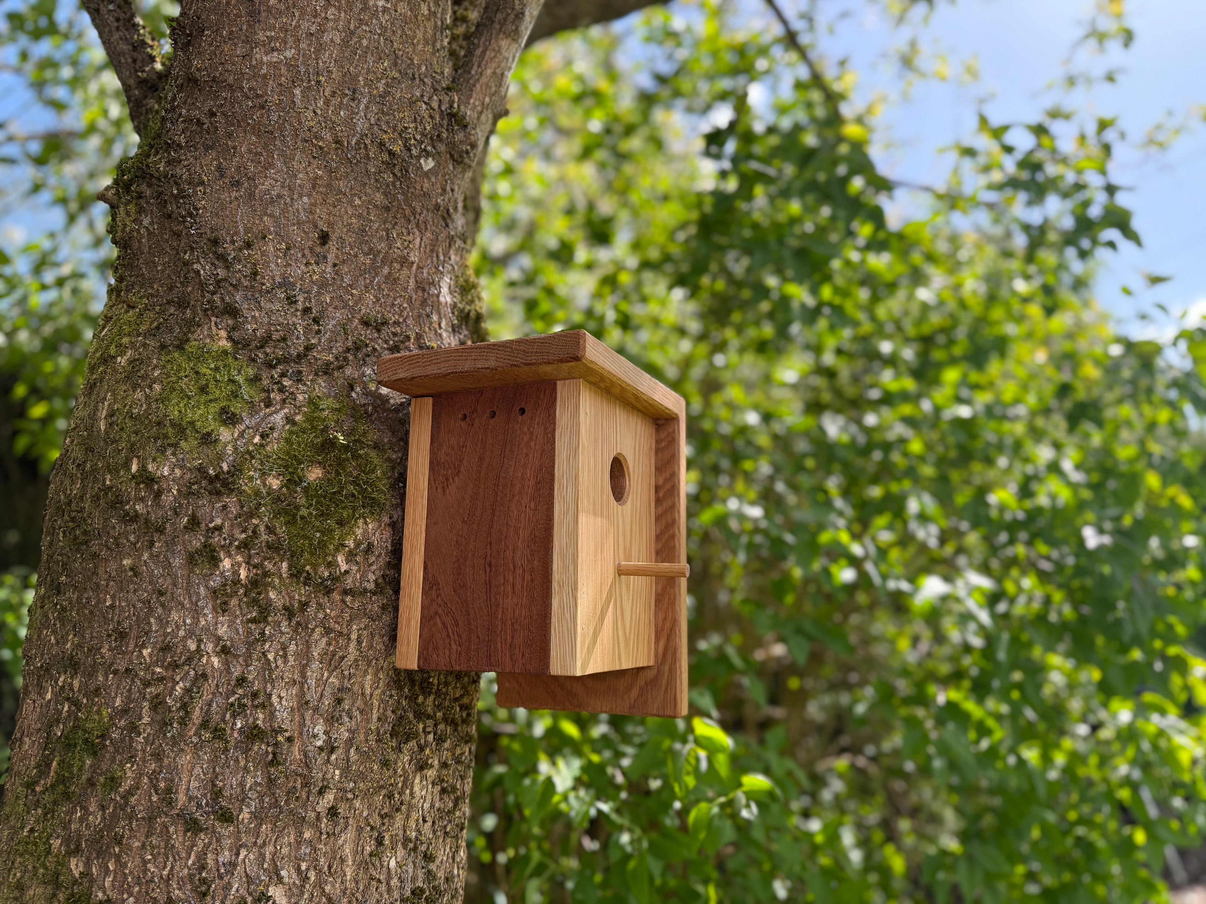 Handmade Solid Oak & Sapele Bird House: Solid Wood Nest Box, Garden Gift - Personalisable
