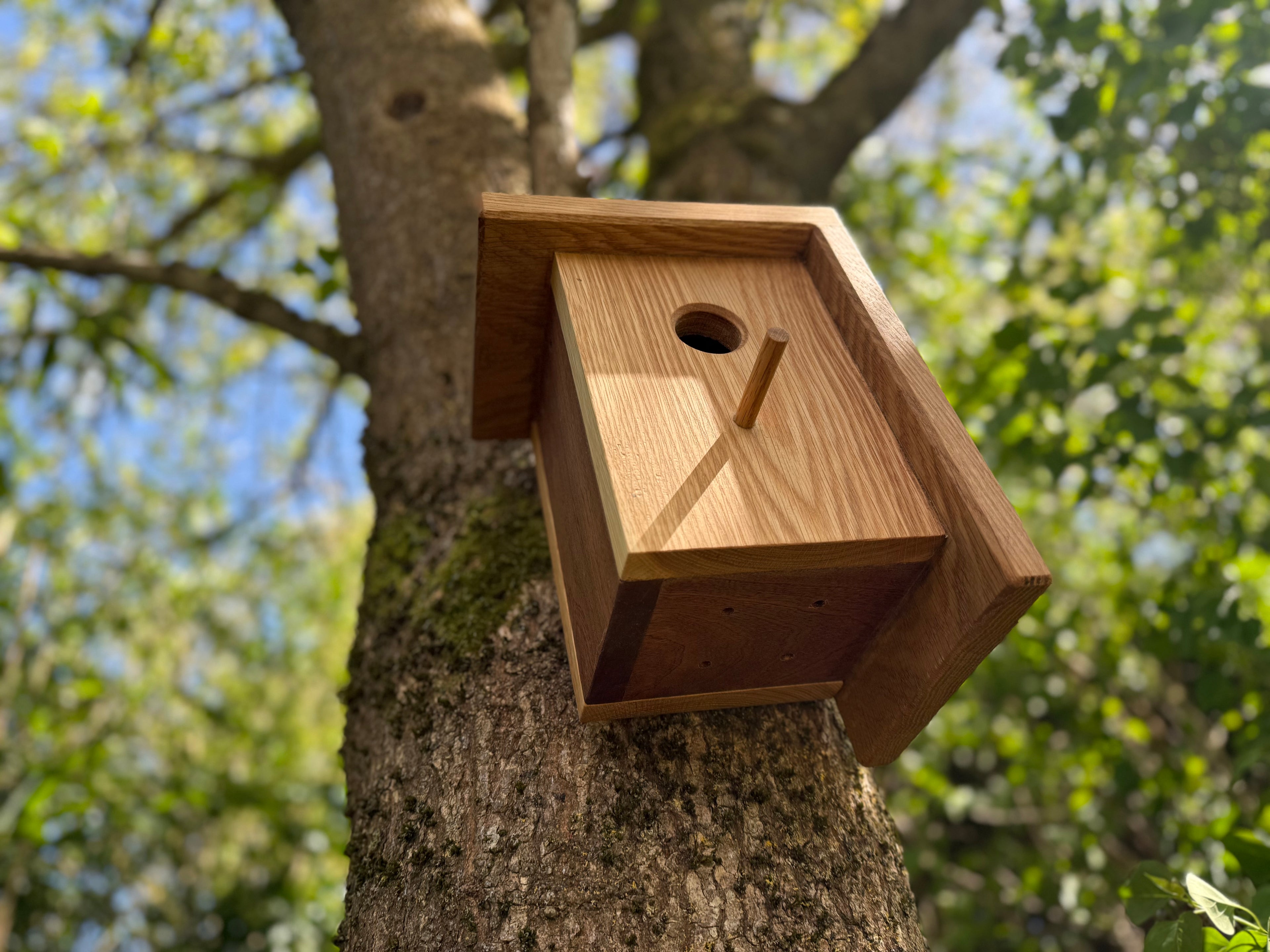 Handmade Solid Oak & Sapele Bird House: Solid Wood Nest Box, Garden Gift - Personalisable