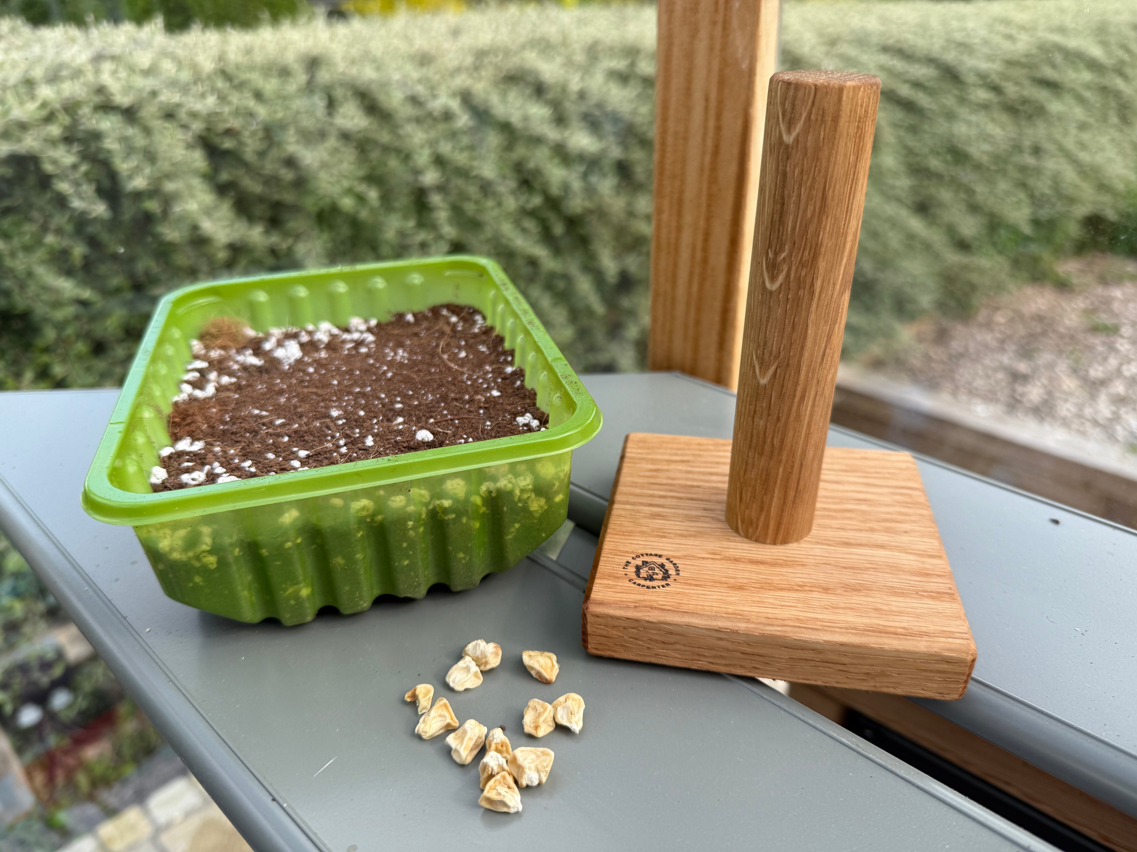 Handmade Solid Oak Seed Tamper: Natural Wood Garden Gift - 100x100mm