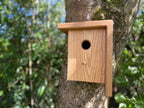 Handmade Solid Oak & Sapele Bird House: Solid Wood Nest Box, Garden Gift - Personalisable