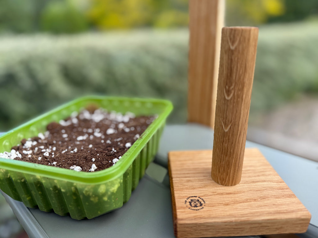 Handmade Solid Oak Seed Tamper: Natural Wood Garden Gift - 100x100mm